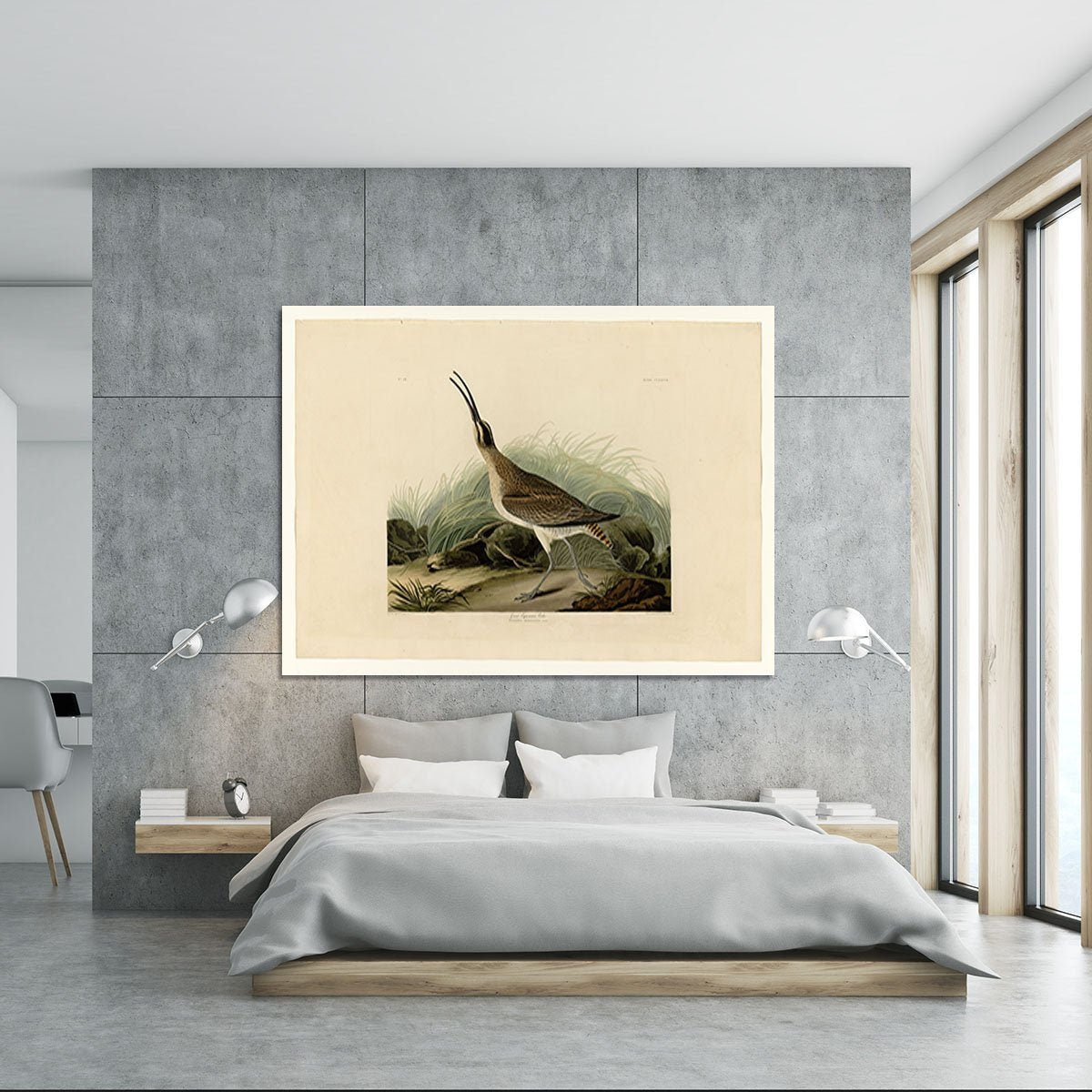 Great Esquimaux Curlew by Audubon Canvas Print or Poster