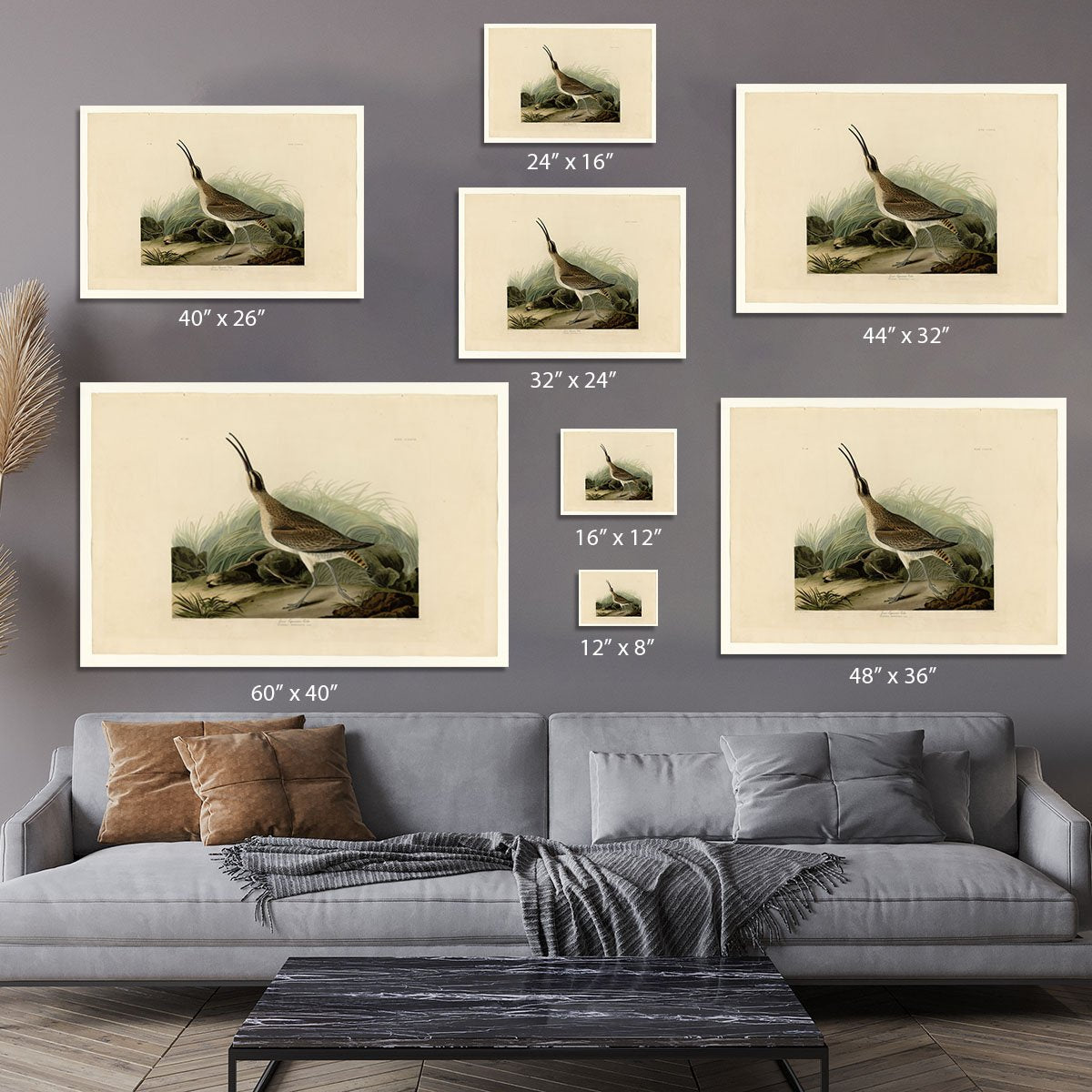 Great Esquimaux Curlew by Audubon Canvas Print or Poster