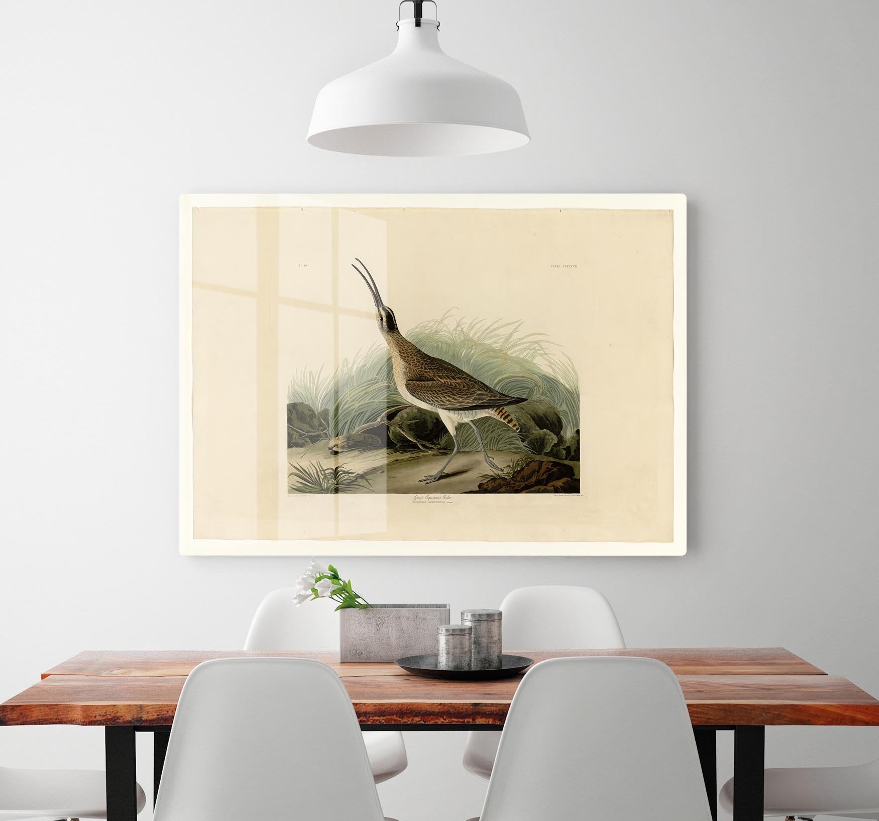 Great Esquimaux Curlew by Audubon HD Metal Print - Canvas Art Rocks - 2