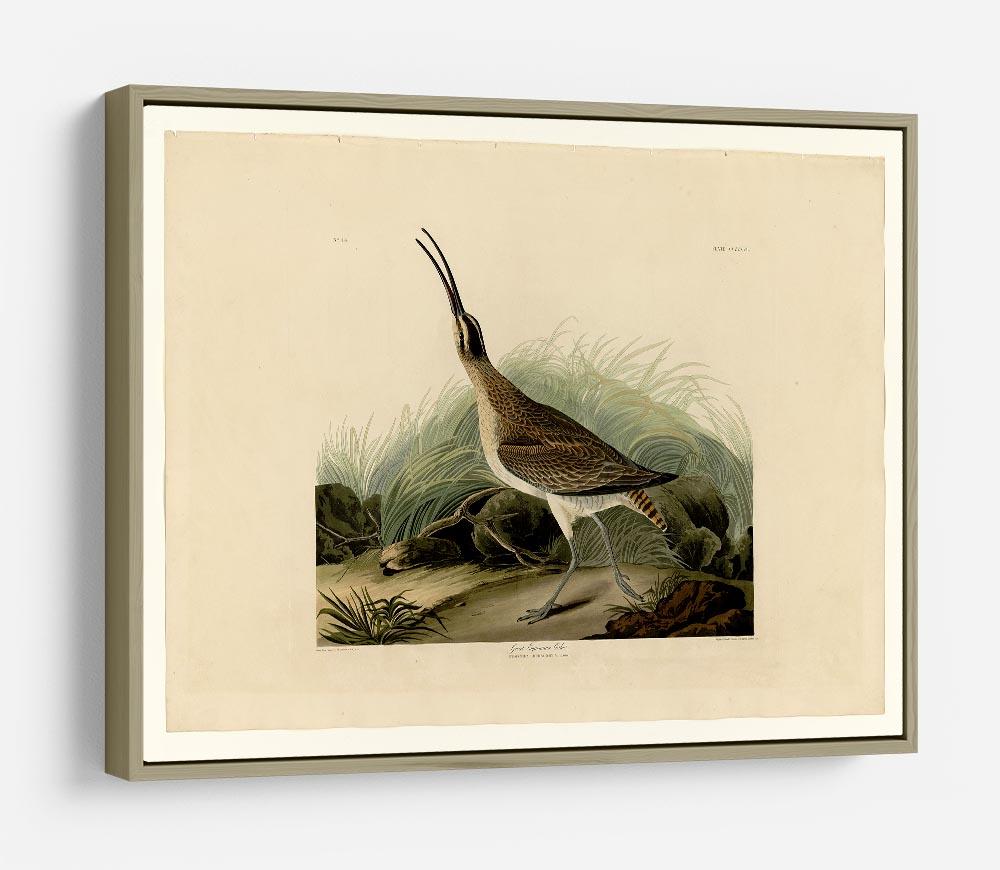 Great Esquimaux Curlew by Audubon HD Metal Print - Canvas Art Rocks - 8