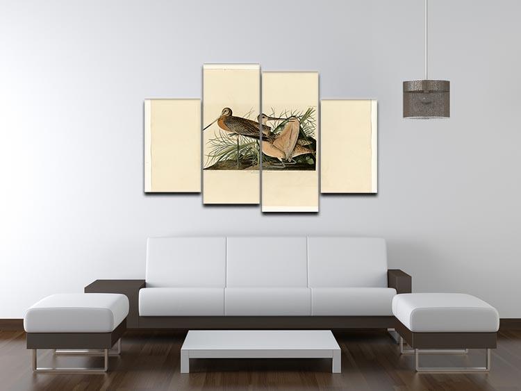 Great Marbled Godwit by Audubon 4 Split Panel Canvas - Canvas Art Rocks - 3