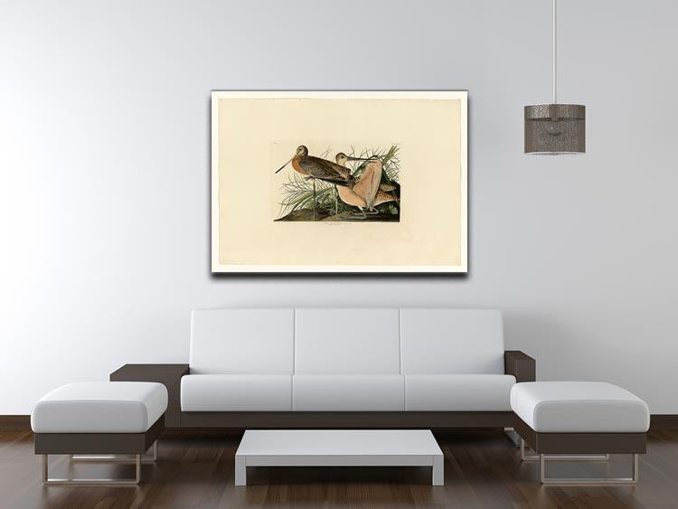 Great Marbled Godwit by Audubon Canvas Print or Poster - Canvas Art Rocks - 4