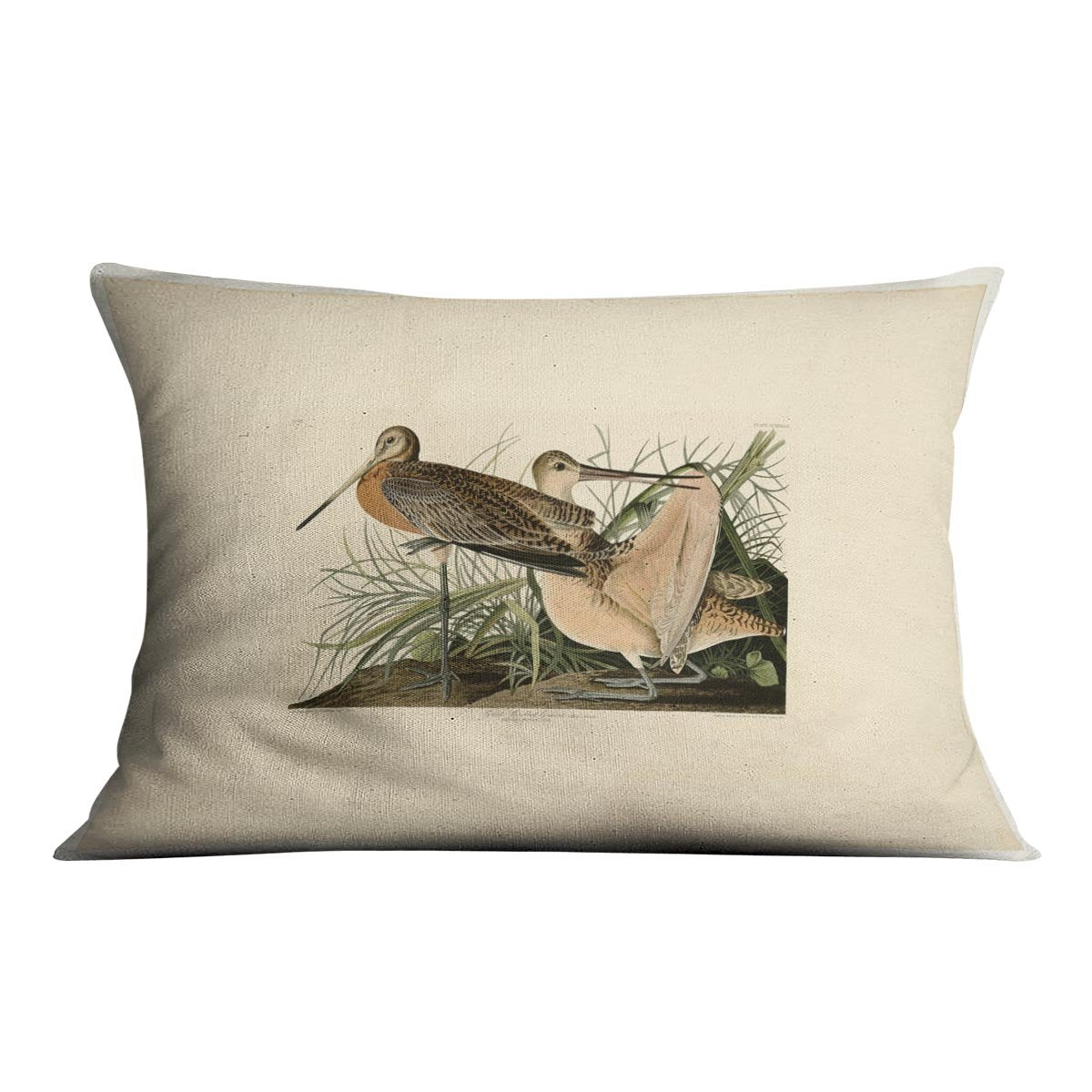 Great Marbled Godwit by Audubon Cushion