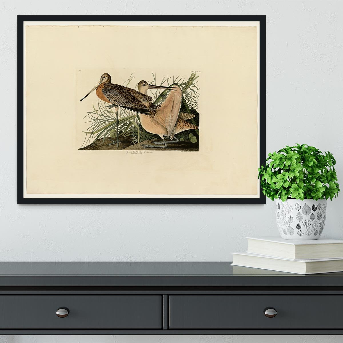 Great Marbled Godwit by Audubon Framed Print - Canvas Art Rocks - 2
