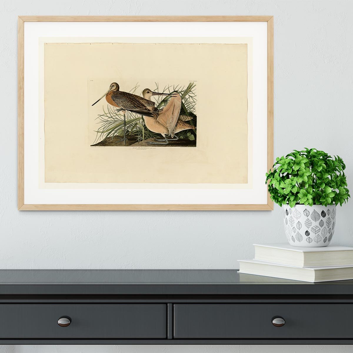 Great Marbled Godwit by Audubon Framed Print - Canvas Art Rocks - 3