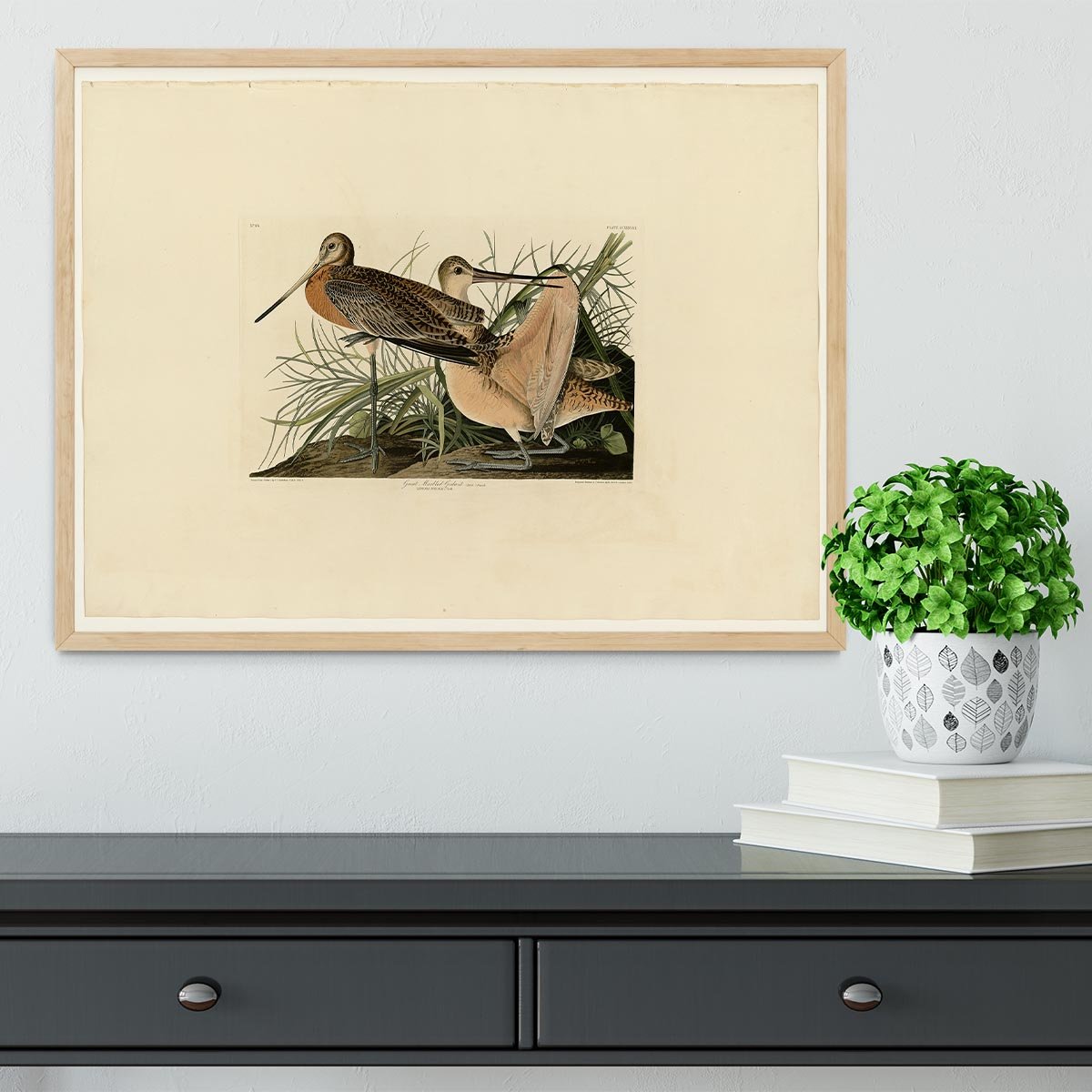 Great Marbled Godwit by Audubon Framed Print - Canvas Art Rocks - 4