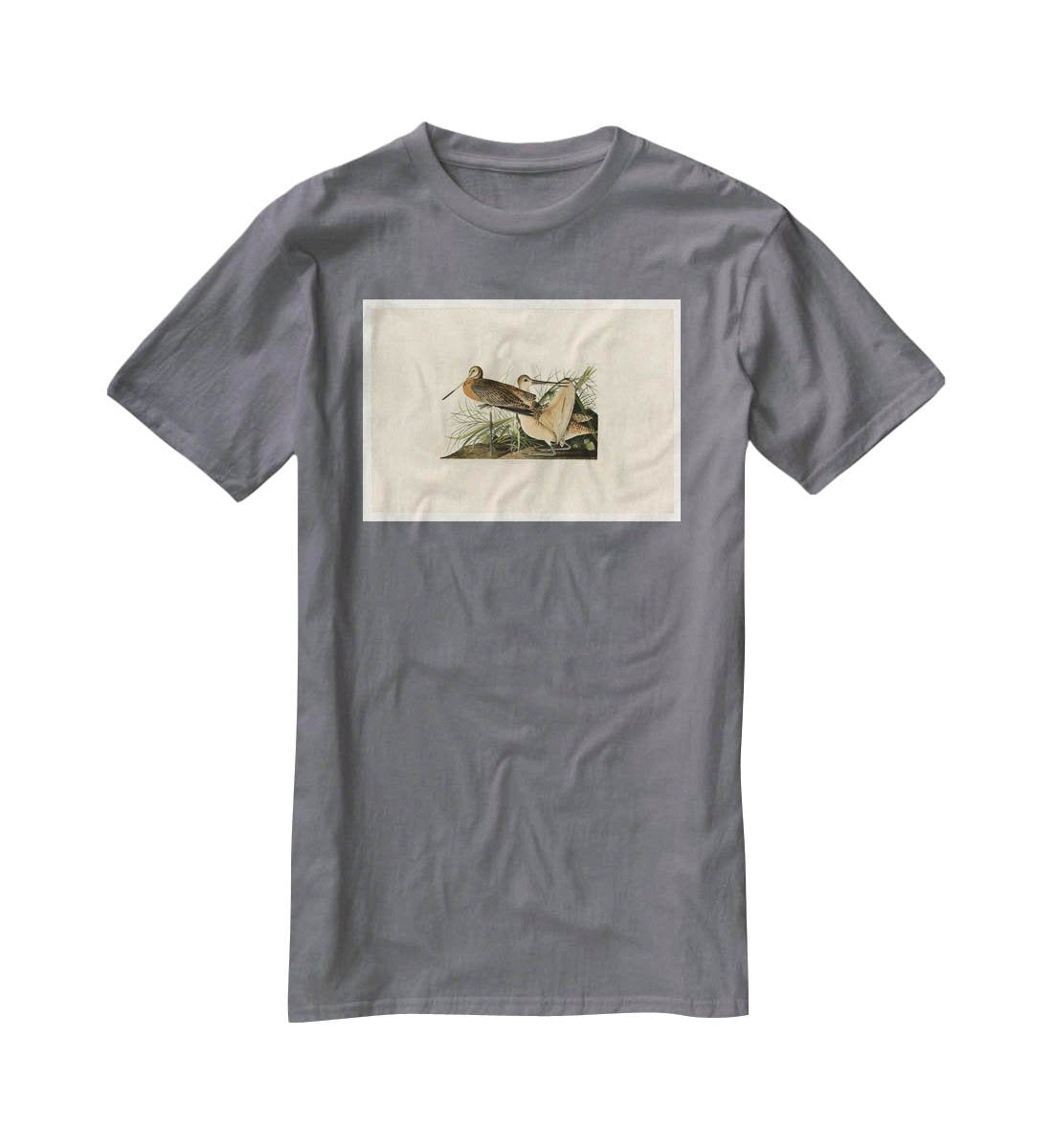 Great Marbled Godwit by Audubon T-Shirt - Canvas Art Rocks - 3