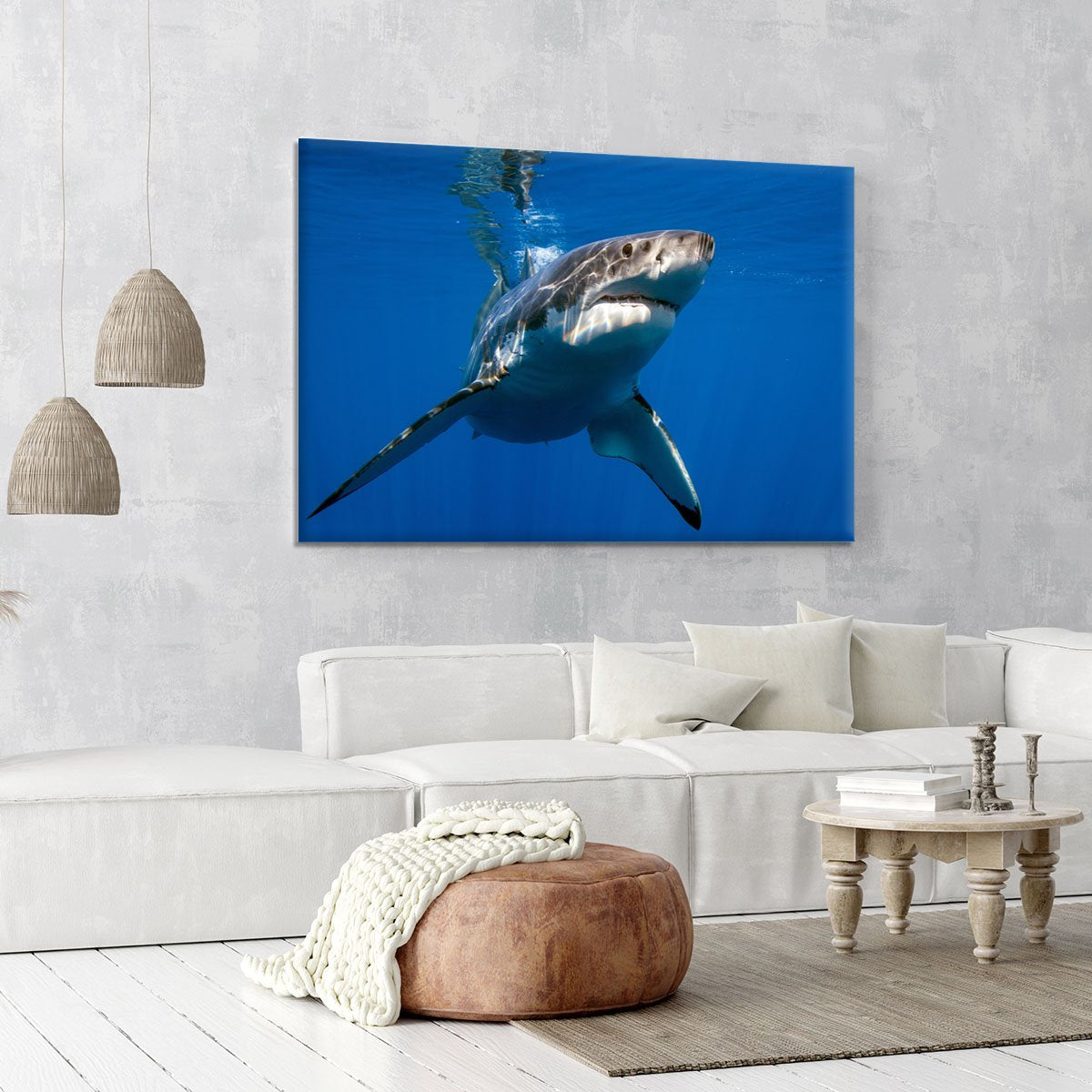 Great White Canvas Print or Poster
