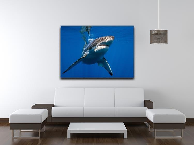 Great White Canvas Print or Poster - Canvas Art Rocks - 4