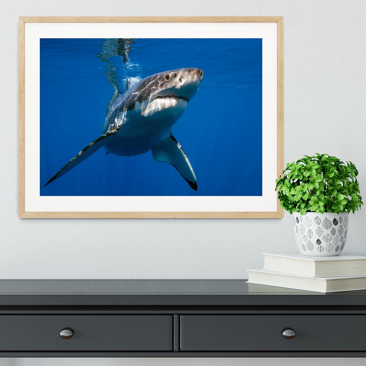 Great White Framed Print - Canvas Art Rocks - 3