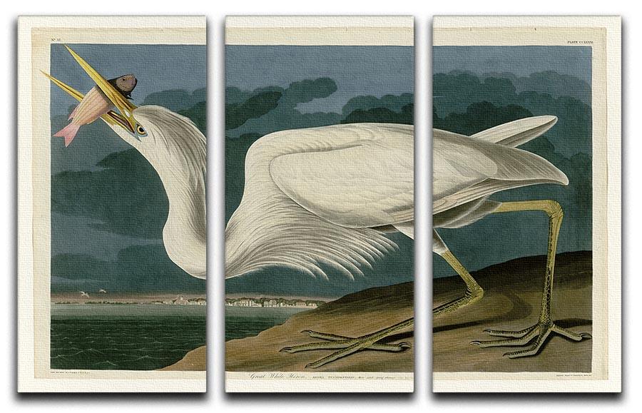 Great White Heron by Audubon 3 Split Panel Canvas Print - Canvas Art Rocks - 1