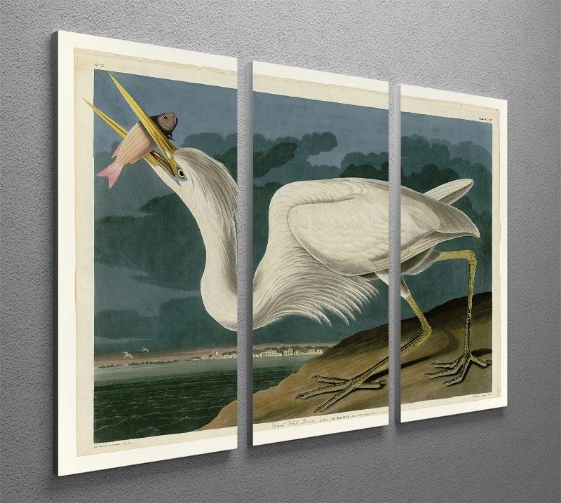 Great White Heron by Audubon 3 Split Panel Canvas Print - Canvas Art Rocks - 2