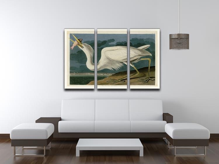 Great White Heron by Audubon 3 Split Panel Canvas Print - Canvas Art Rocks - 3