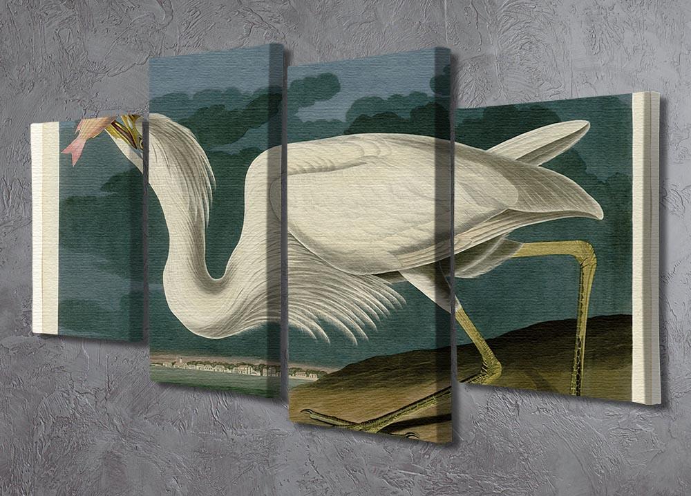 Great White Heron by Audubon 4 Split Panel Canvas - Canvas Art Rocks - 2