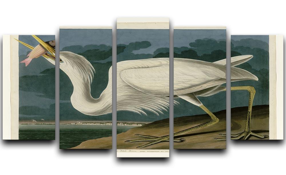 Great White Heron by Audubon 5 Split Panel Canvas - Canvas Art Rocks - 1