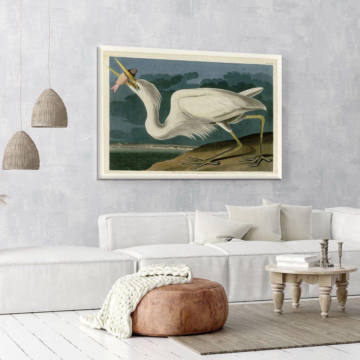 Great White Heron by Audubon Canvas Print or Poster