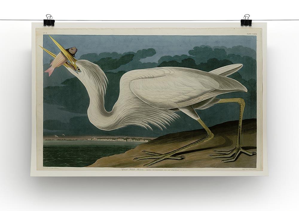 Great White Heron by Audubon Canvas Print or Poster - Canvas Art Rocks - 2