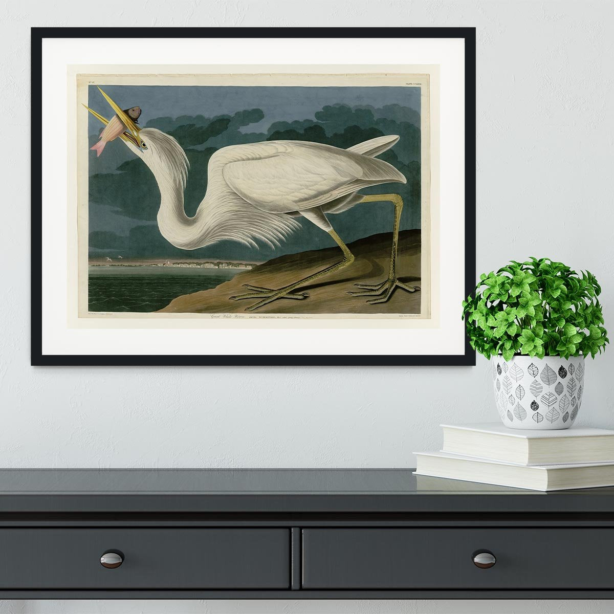 Great White Heron by Audubon Framed Print - Canvas Art Rocks - 1