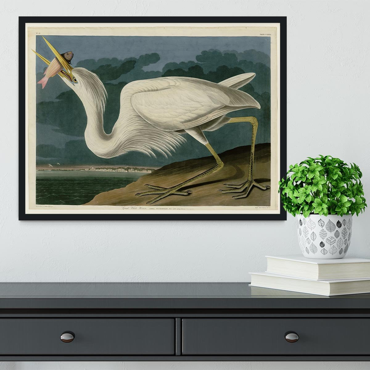 Great White Heron by Audubon Framed Print - Canvas Art Rocks - 2