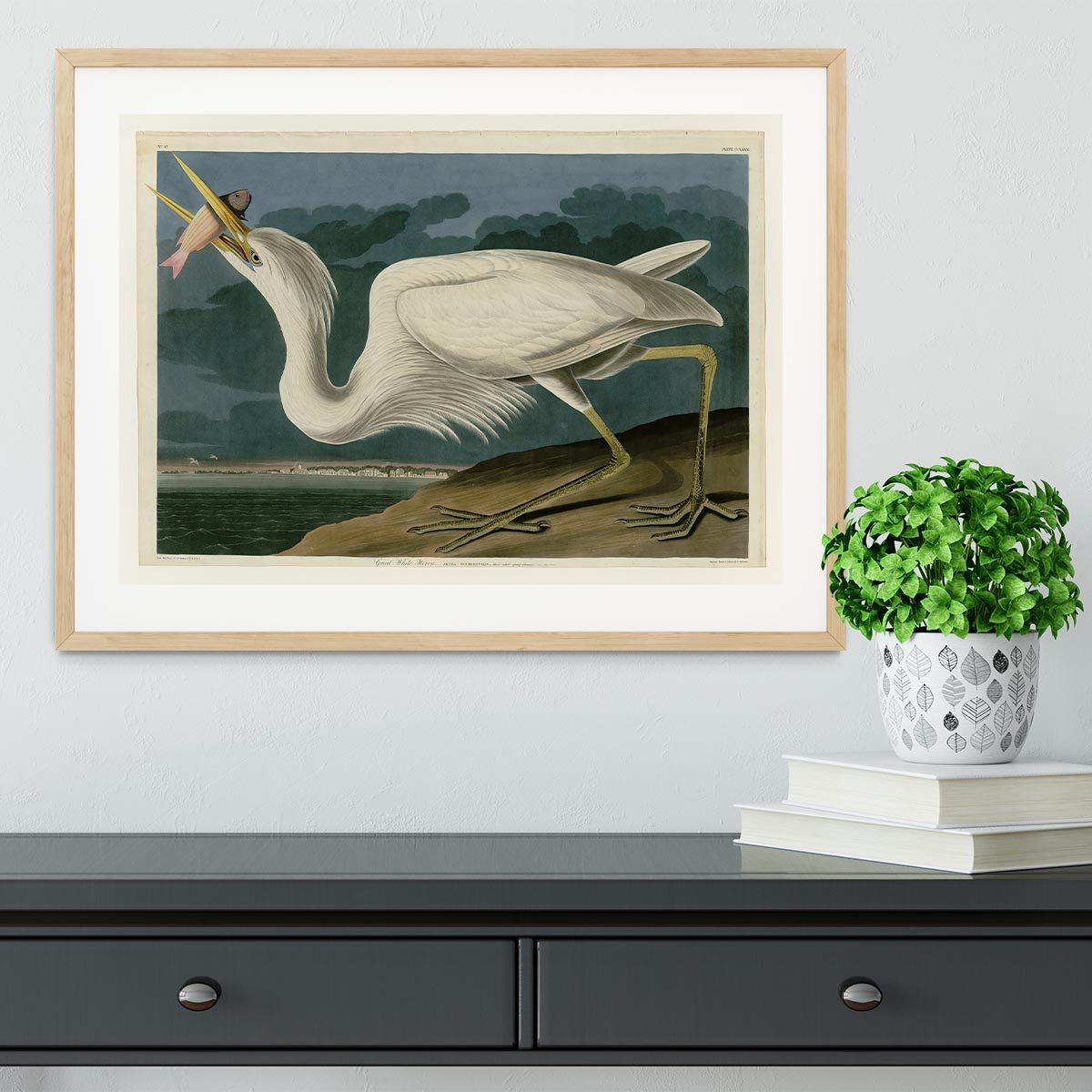 Great White Heron by Audubon Framed Print - Canvas Art Rocks - 3