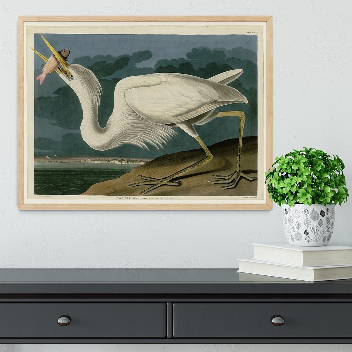 Great White Heron by Audubon Framed Print - Canvas Art Rocks - 4