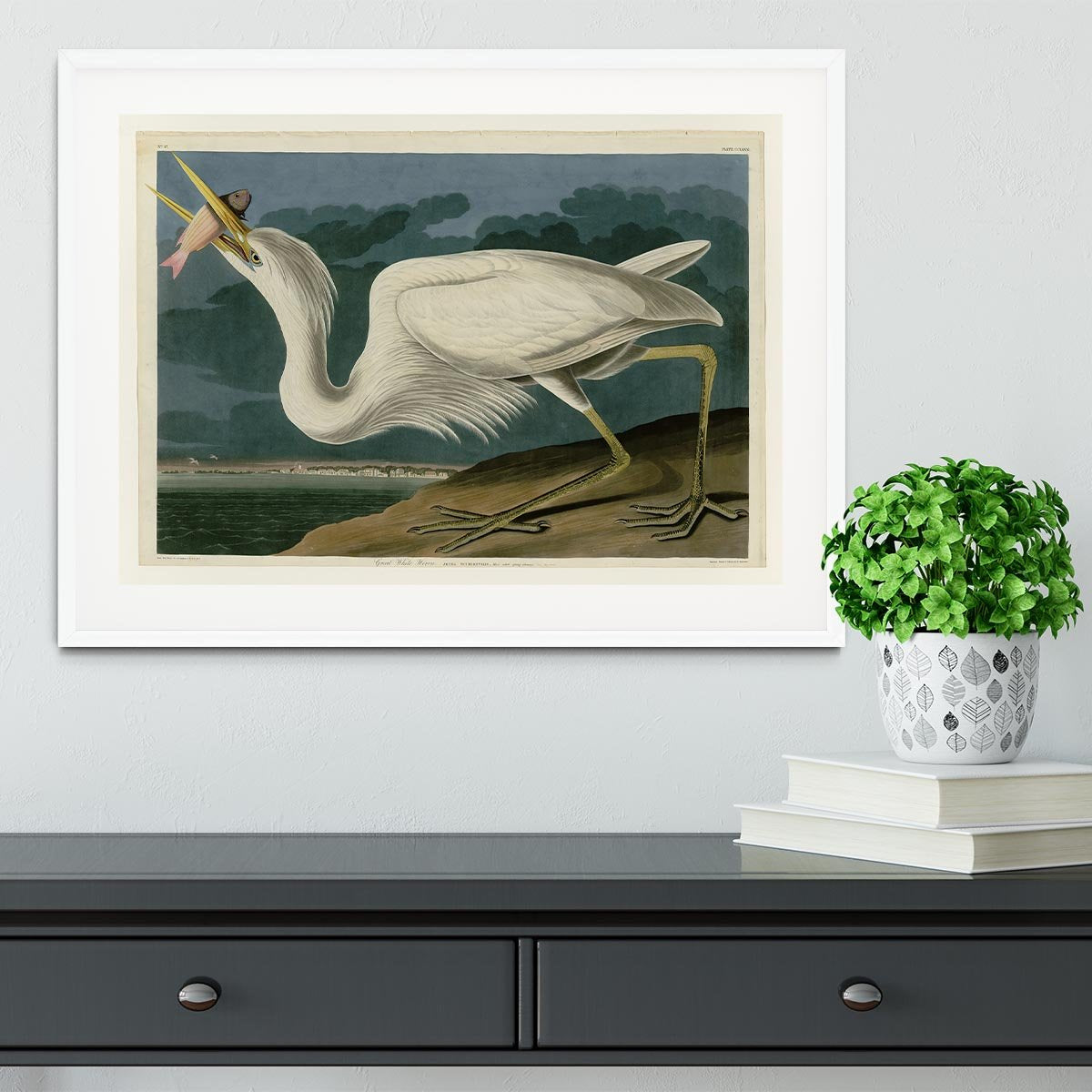 Great White Heron by Audubon Framed Print - Canvas Art Rocks - 5