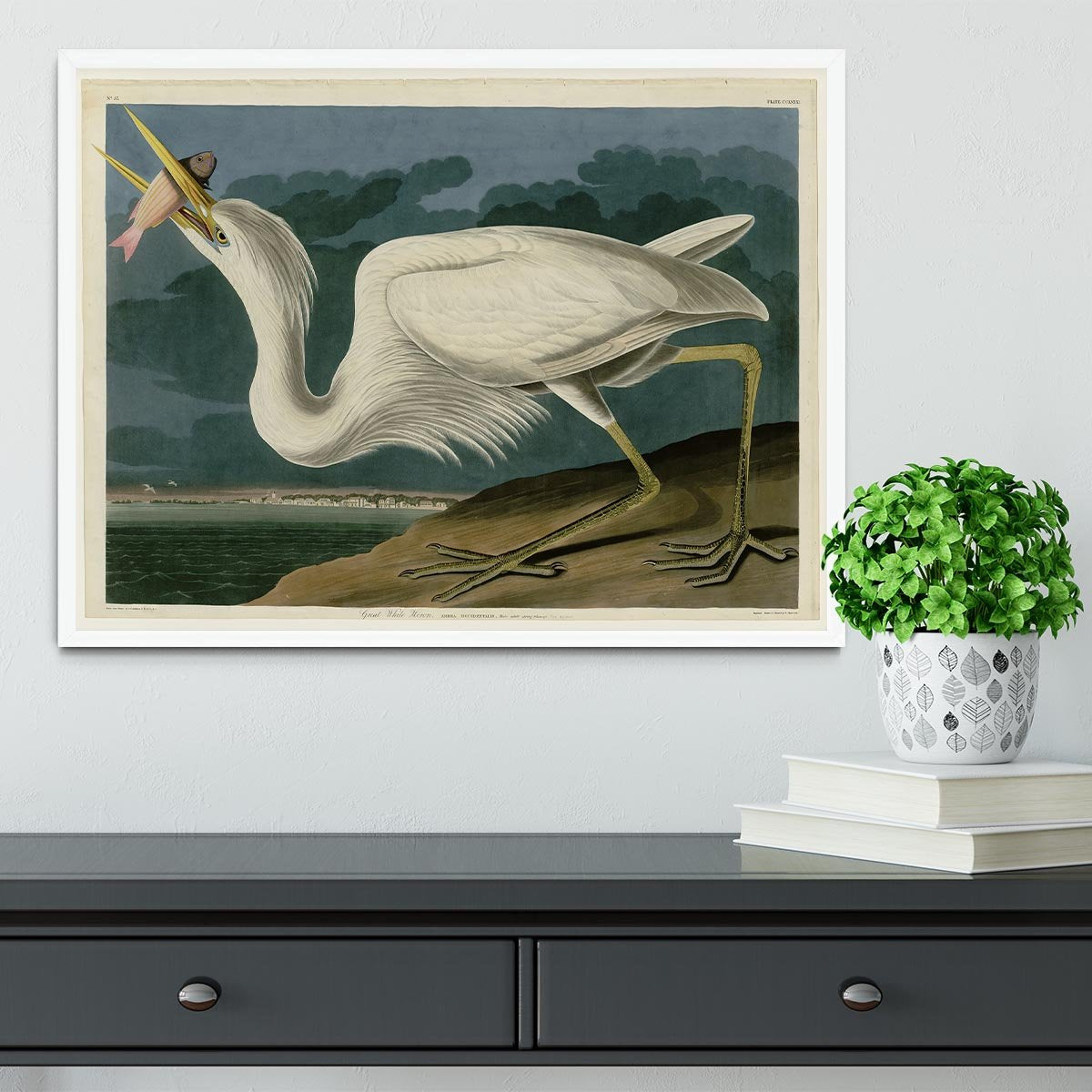 Great White Heron by Audubon Framed Print - Canvas Art Rocks -6