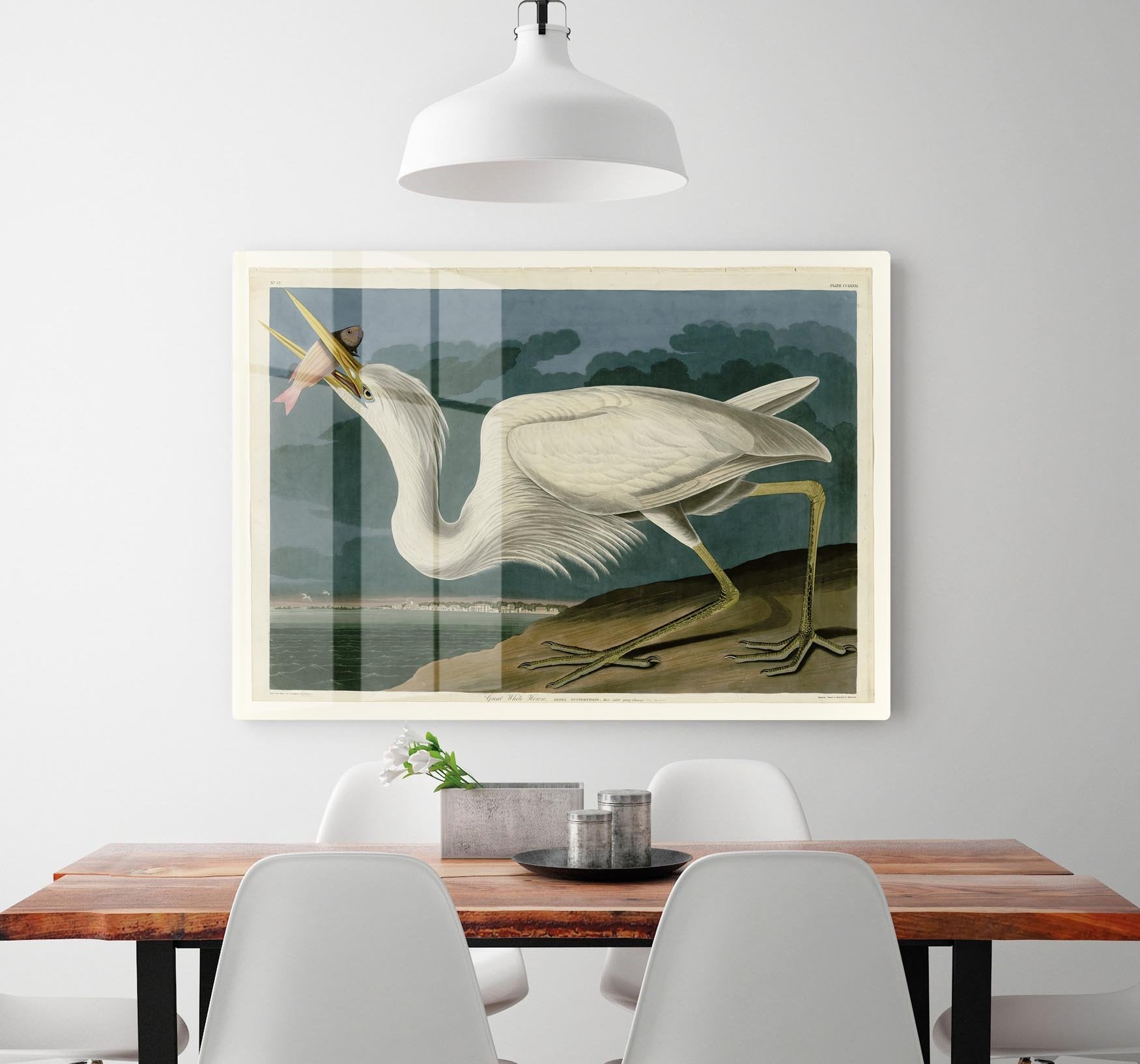 Great White Heron by Audubon HD Metal Print - Canvas Art Rocks - 2