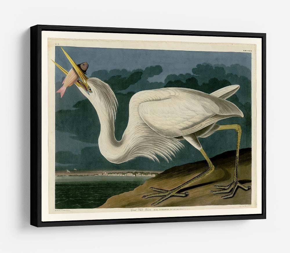 Great White Heron by Audubon HD Metal Print - Canvas Art Rocks - 6