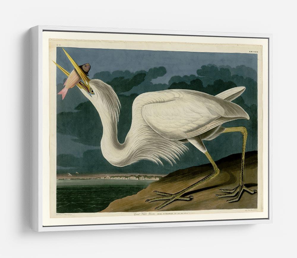 Great White Heron by Audubon HD Metal Print - Canvas Art Rocks - 7