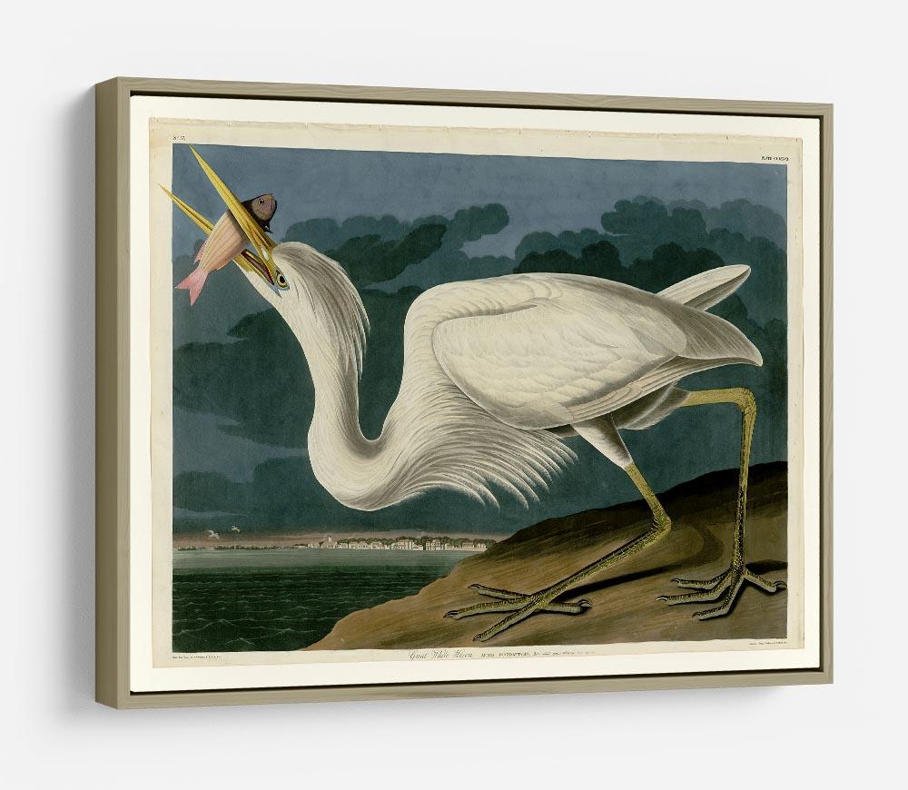 Great White Heron by Audubon HD Metal Print - Canvas Art Rocks - 8