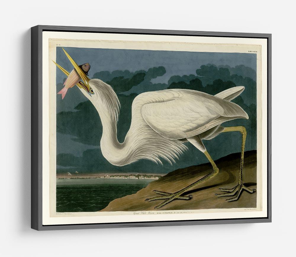 Great White Heron by Audubon HD Metal Print - Canvas Art Rocks - 9