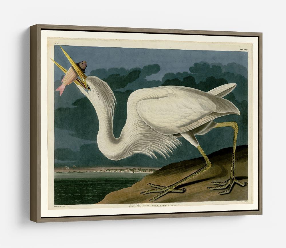Great White Heron by Audubon HD Metal Print - Canvas Art Rocks - 10