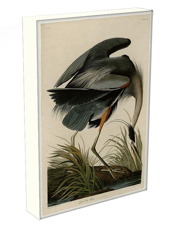 Great blue Heron by Audubon Canvas Print or Poster - Canvas Art Rocks - 3
