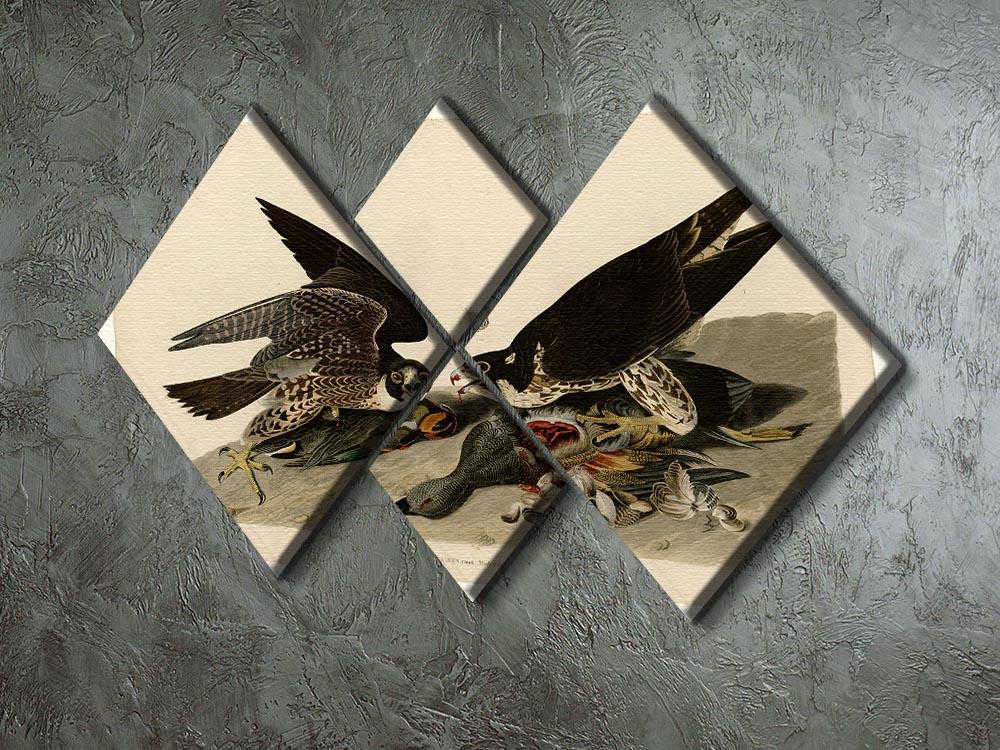 Great footed Hawk by Audubon 4 Square Multi Panel Canvas - Canvas Art Rocks - 2