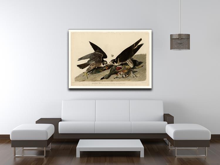 Great footed Hawk by Audubon Canvas Print or Poster - Canvas Art Rocks - 4