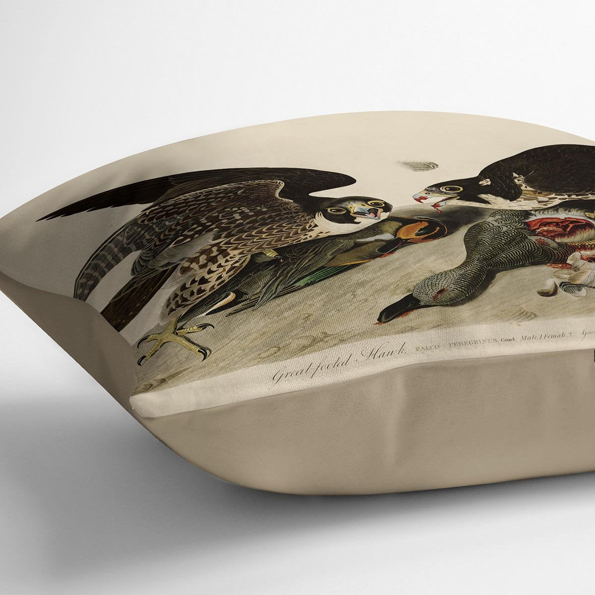 Great footed Hawk by Audubon Cushion