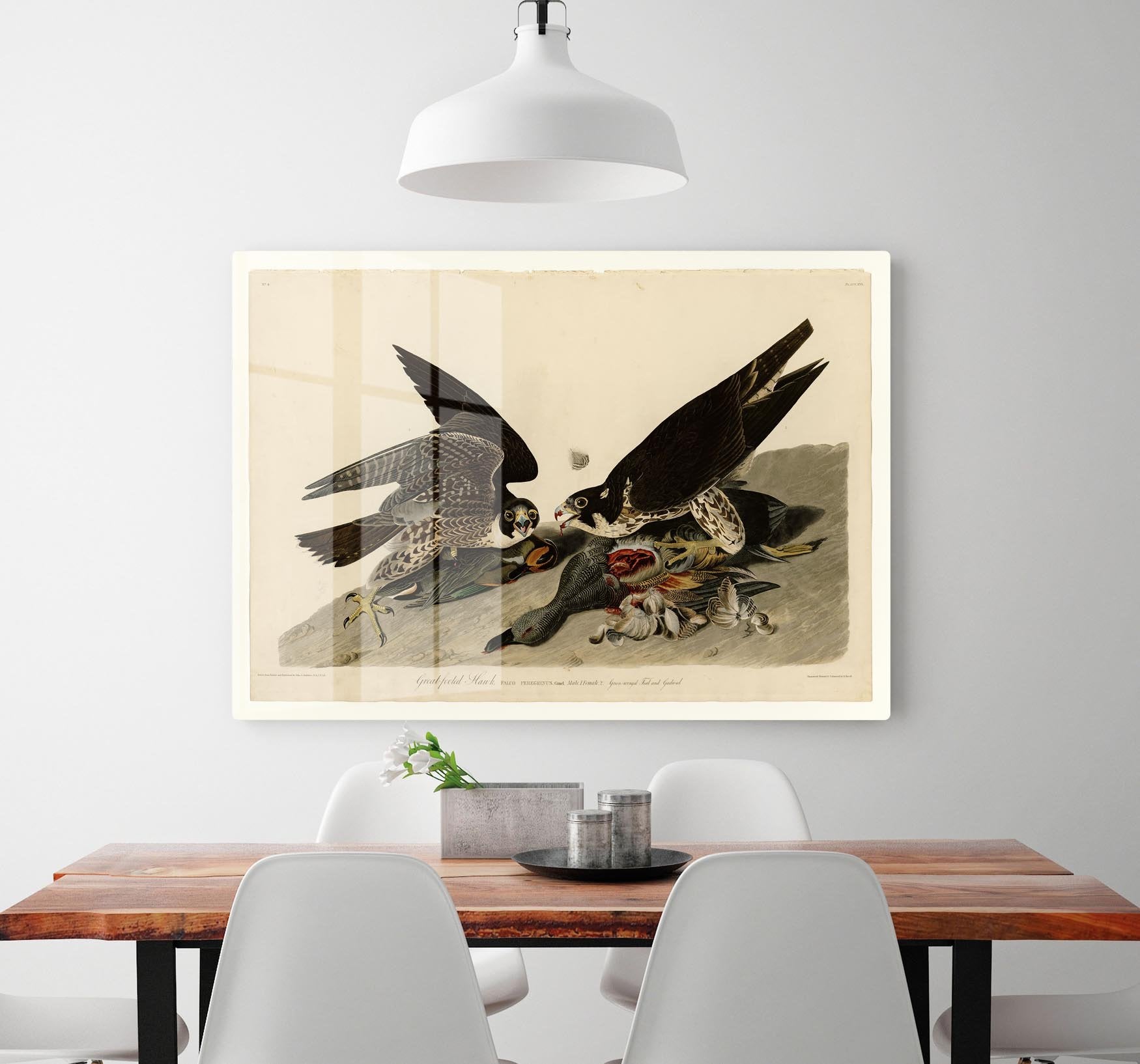 Great footed Hawk by Audubon HD Metal Print - Canvas Art Rocks - 2