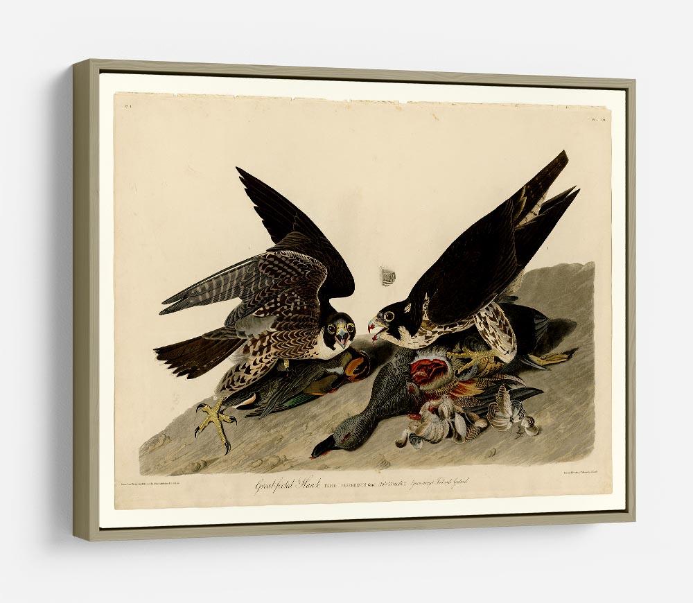 Great footed Hawk by Audubon HD Metal Print - Canvas Art Rocks - 8