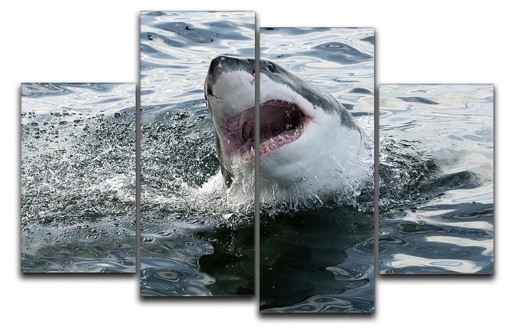 Great white shark 4 Split Panel Canvas  - Canvas Art Rocks - 1