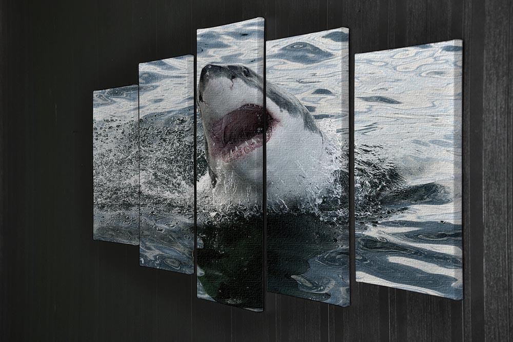 Great white shark 5 Split Panel Canvas  - Canvas Art Rocks - 2