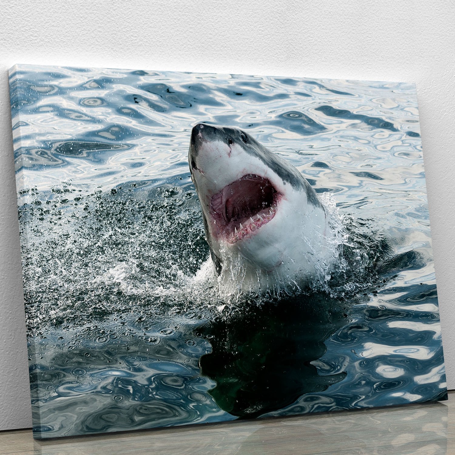 Great white shark Canvas Print or Poster