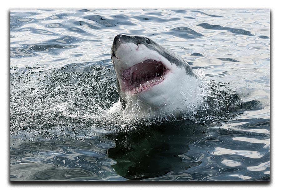 Great white shark Canvas Print or Poster  - Canvas Art Rocks - 1