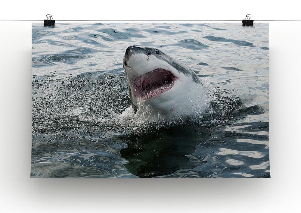 Great white shark Canvas Print or Poster - Canvas Art Rocks - 2