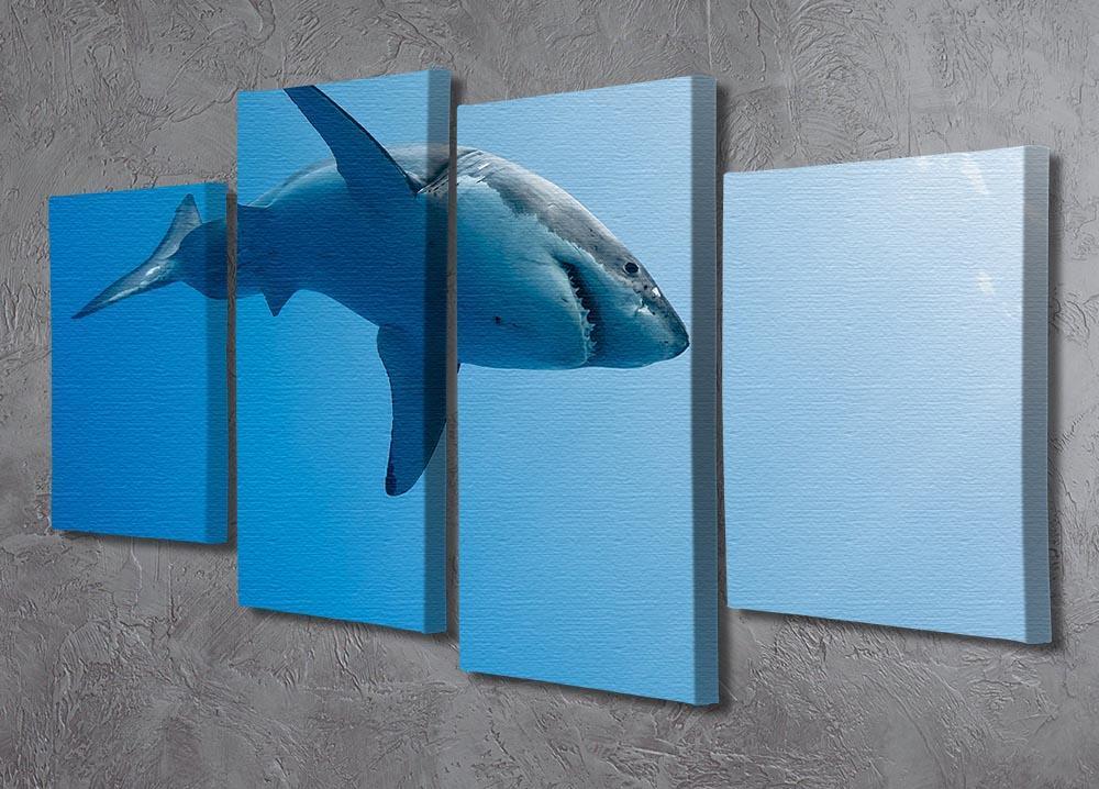 Great white shark Guadalupe Island 4 Split Panel Canvas  - Canvas Art Rocks - 2