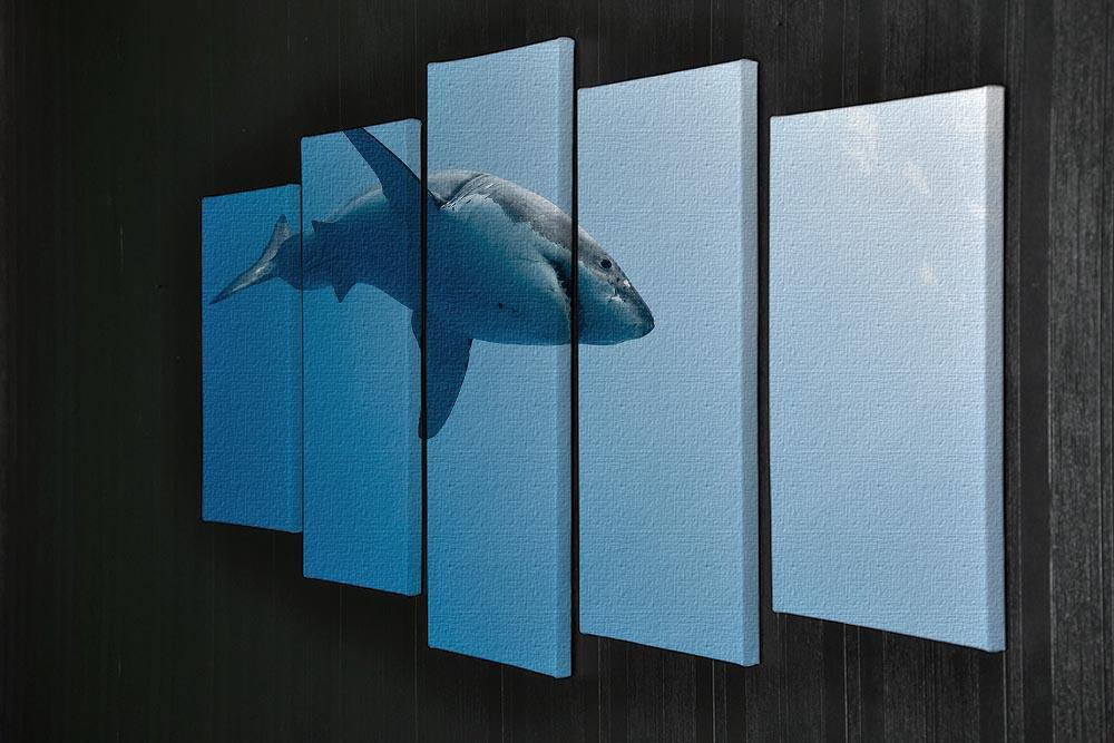 Great white shark Guadalupe Island 5 Split Panel Canvas  - Canvas Art Rocks - 2
