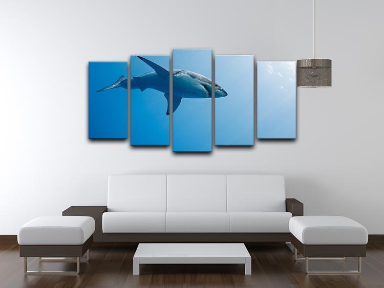 Great white shark Guadalupe Island 5 Split Panel Canvas  - Canvas Art Rocks - 3