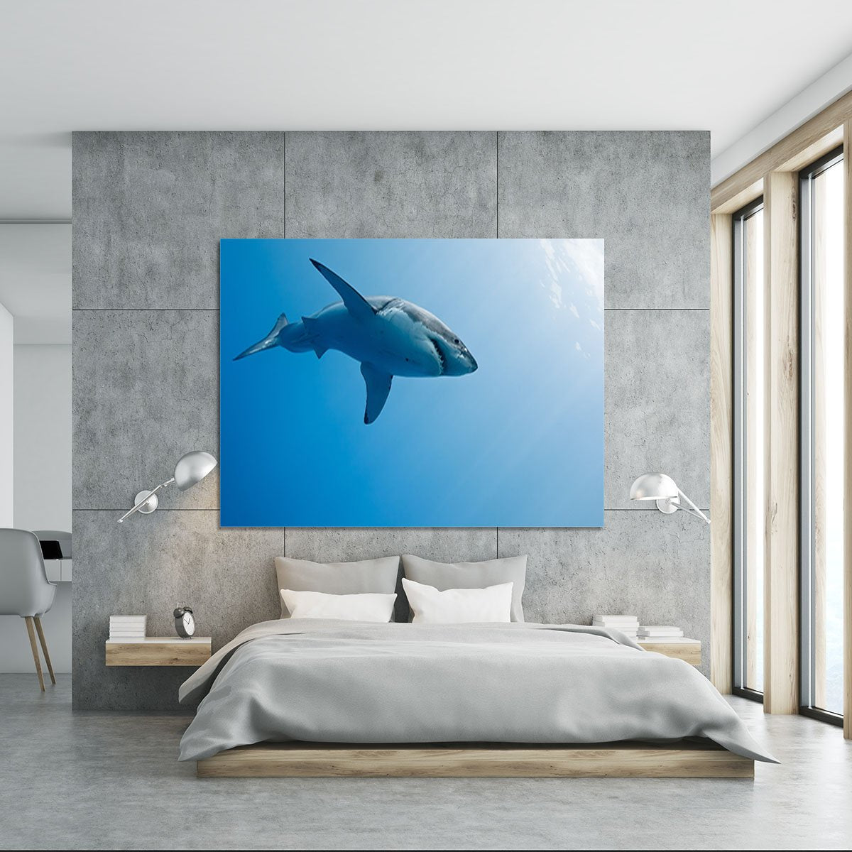 Great white shark Guadalupe Island Canvas Print or Poster