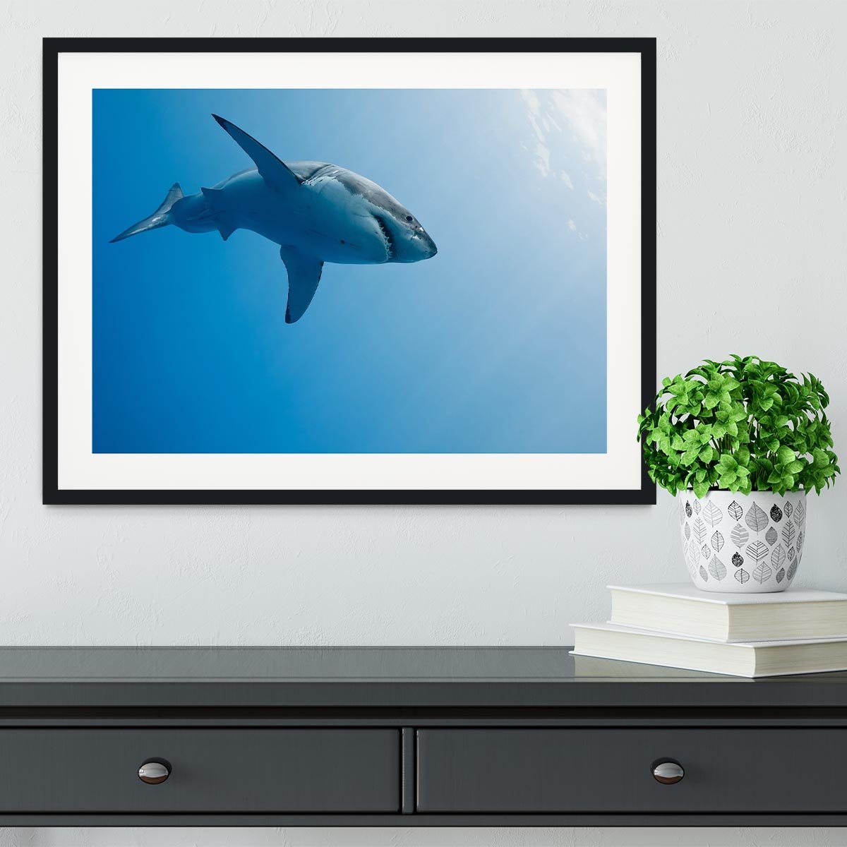 Great white shark Guadalupe Island Framed Print - Canvas Art Rocks - 1