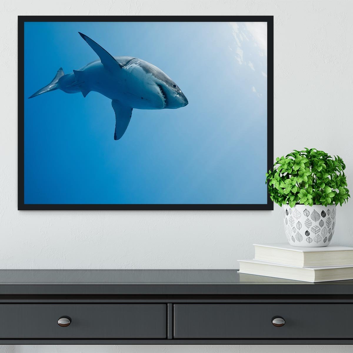 Great white shark Guadalupe Island Framed Print - Canvas Art Rocks - 2